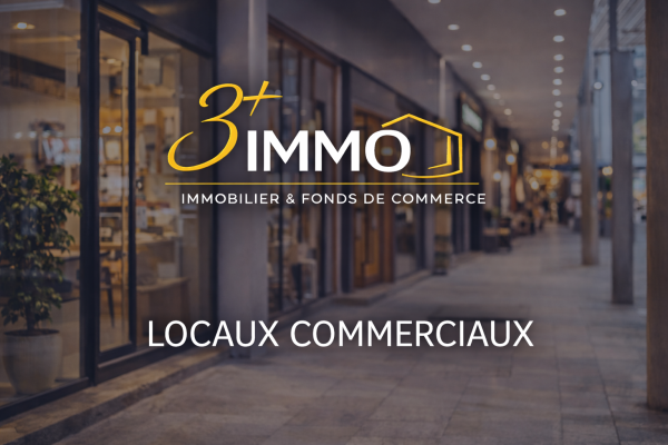 Vente Immobilier Professionnel Local professionnel Eaubonne 95600